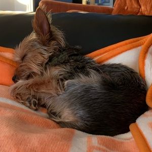 Meet your Posher, Cassie